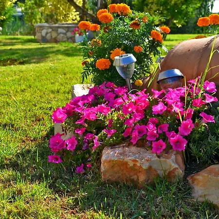 Elea And Apart-hotel Argassi